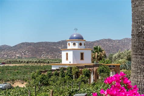 valle de guadalupe mexico