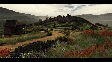 Valley Of Flowers Witcher