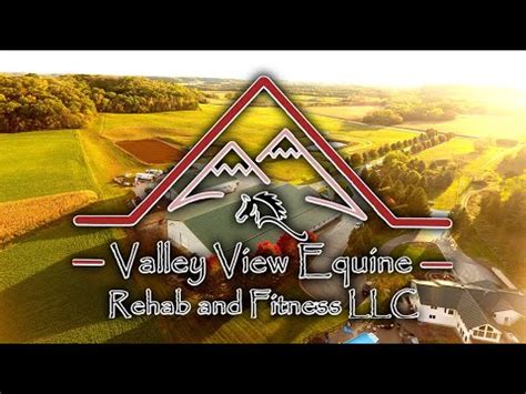 valley view equine and rehab