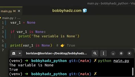 value of none in python