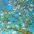 van gogh almond blossom wallpaper