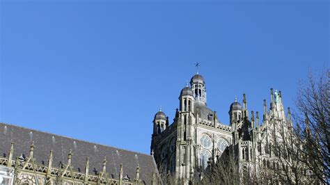 van hooft den bosch