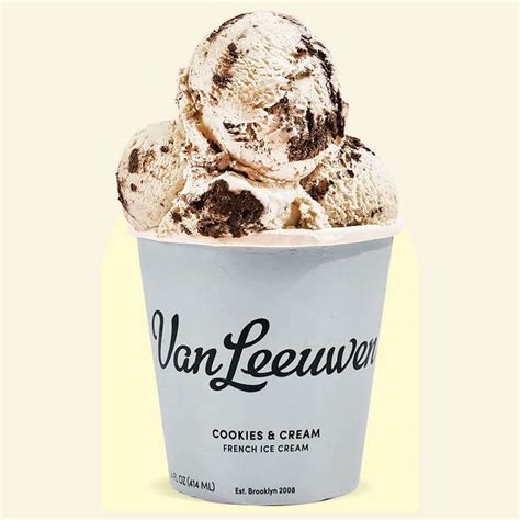 Van Leeuwen Ice Cream Cookies & Cream 14 oz