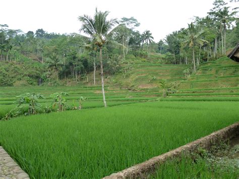 van verre reizen indonesie