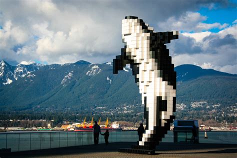 vancouver digital orca