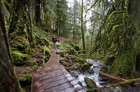 vancouver island hiking trails