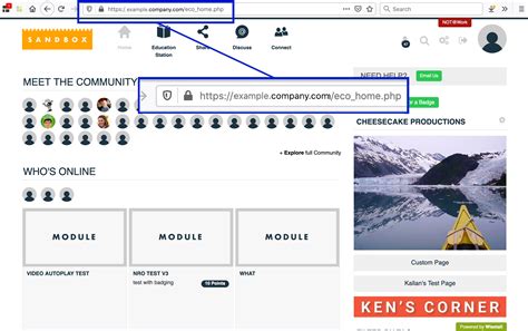 Vanity Domain Support