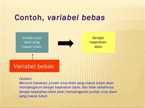 11 Contoh Variabel Bebas (Variabel Independen) dalam Penelitian Pinhome