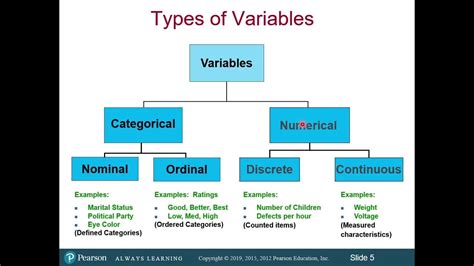 variable and its types in statistics ppt