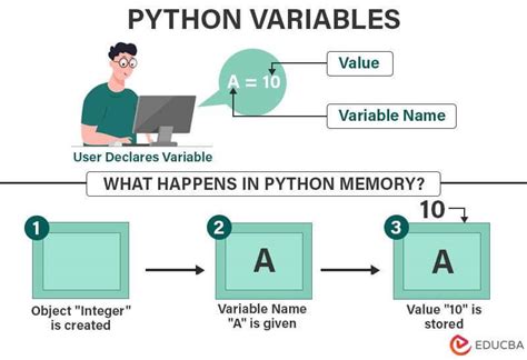 variable in python gfg