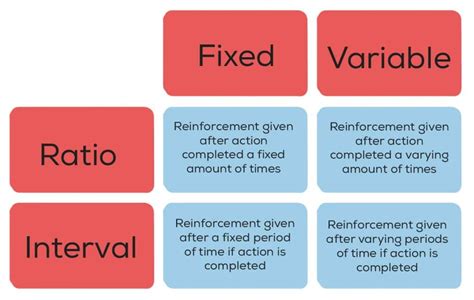 variable interval reinforcement examples