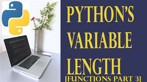 variable length parameters in python