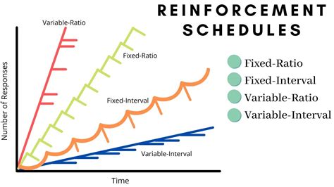variable ratio schedule of reinforcement examples