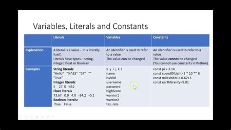 variables in computer programming