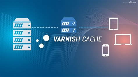 Varnish Cache Authorization Header