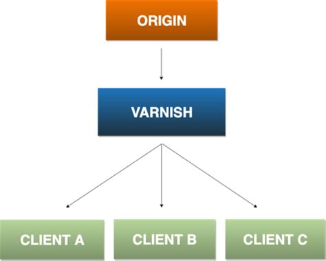 Varnish Origin Of Word