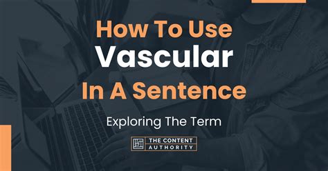 Vascular Examples In A Sentence