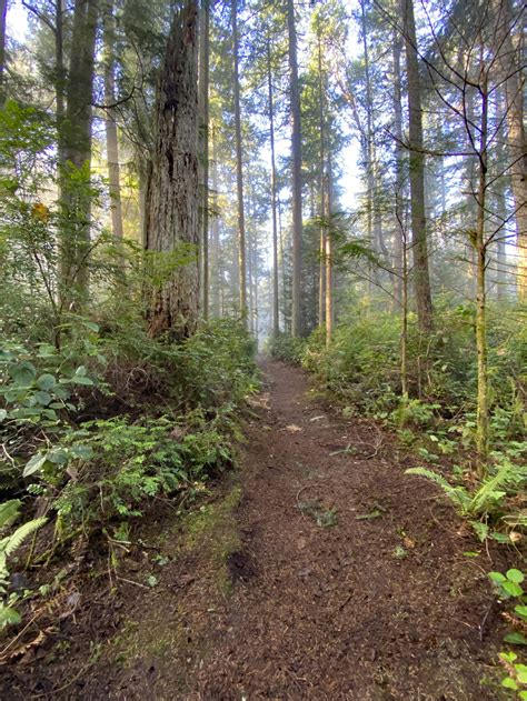 Vashon Land Trust Trails