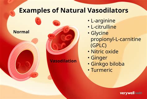 Vasodilation Kya Hai