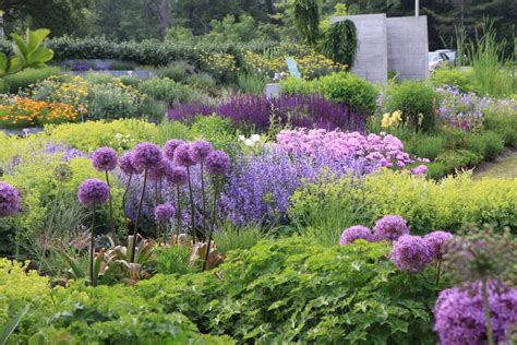 Vaste Border Planten