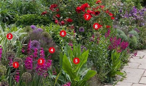 Vaste Borderplanten Laag