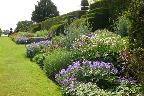 Vaste Borderplanten Zon
