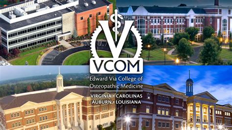 Vcom Canvas Guide