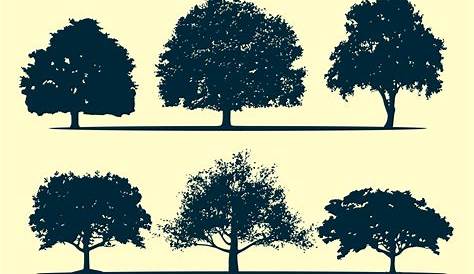Oak tree silhouette vectors - Download Free Vector Art, Stock Graphics