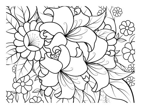 Vector Coloring Book Pages