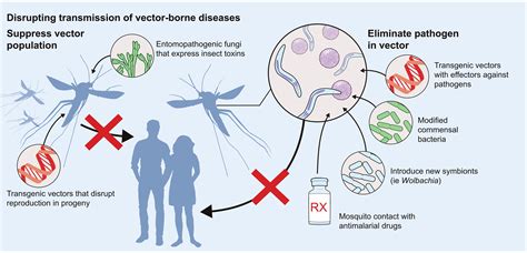 vector control examples