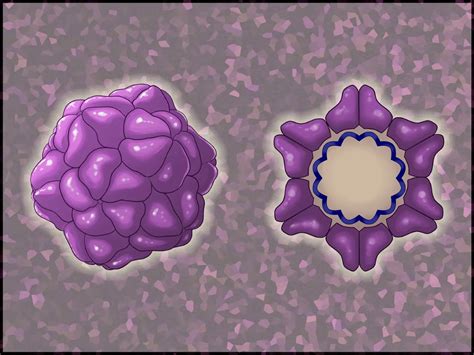 5 Ways Vector Core UPenn