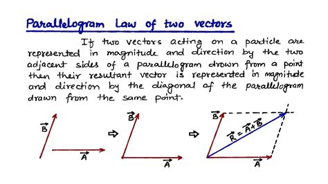 vector definition in physics class 11