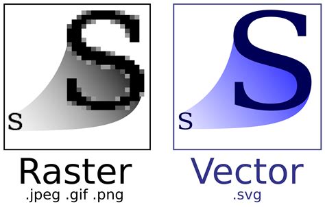 vector graphics examples in real life