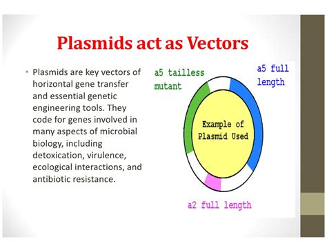 vector in microbiology definition