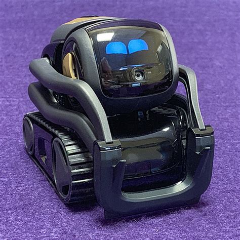 vector robot review