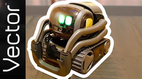 vector robot set up