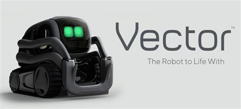 vector robot site