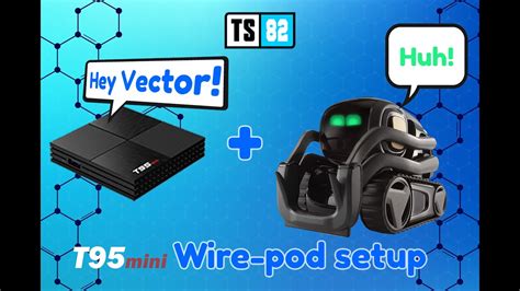 vector robot web setup