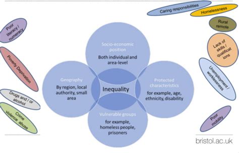 vector solutions diversity and inclusion answers quizlet