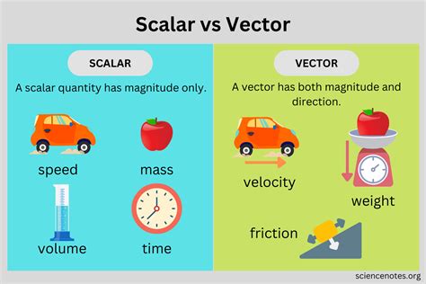 vector vs scalar quantities examples