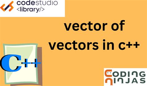 vectors in coding