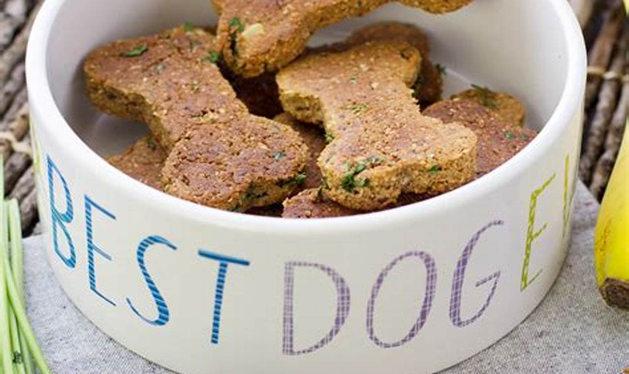 vegan dog food recipe