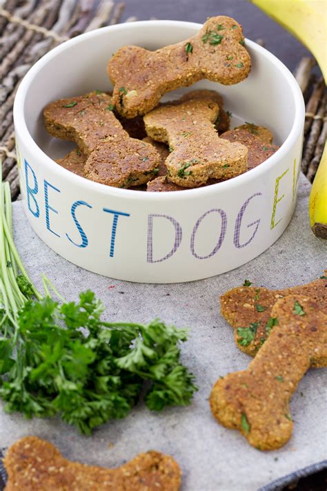 Homemade Dog Treats Recipe Pinch of Yum