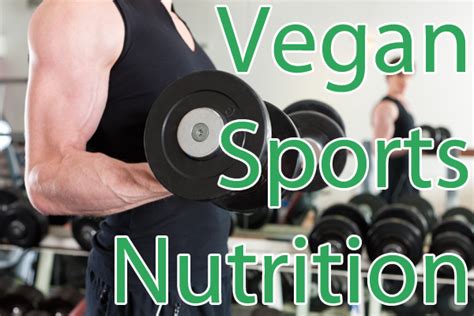 Vega Sport Premium Protein Vanilla 14 Servings DICK'S Sporting Goods