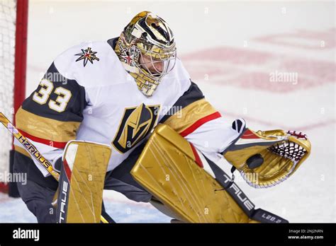 vegas golden knights goaltenders