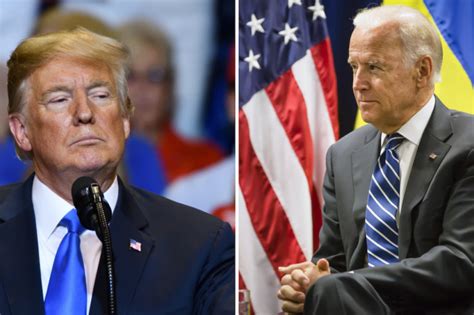 vegas odds biden vs trump 2024