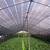 vegetable greenhouse shading net factory