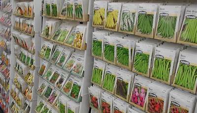 Vegetable Seeds Store Near Me