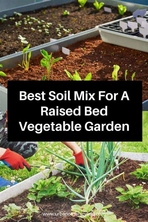 Vegetable Bed Garden Soil