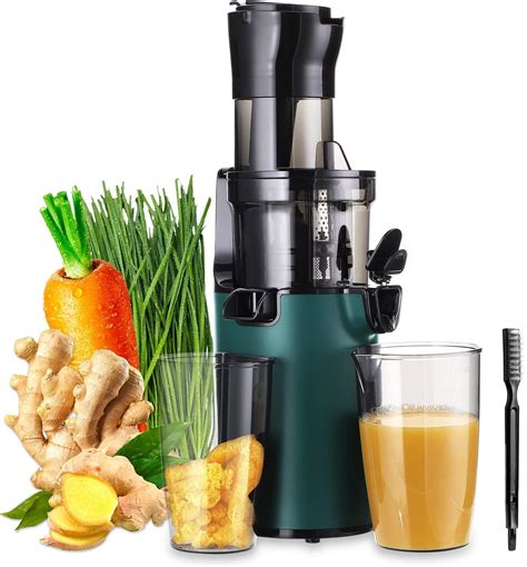 Vegetable Cold Press Juicer Machine